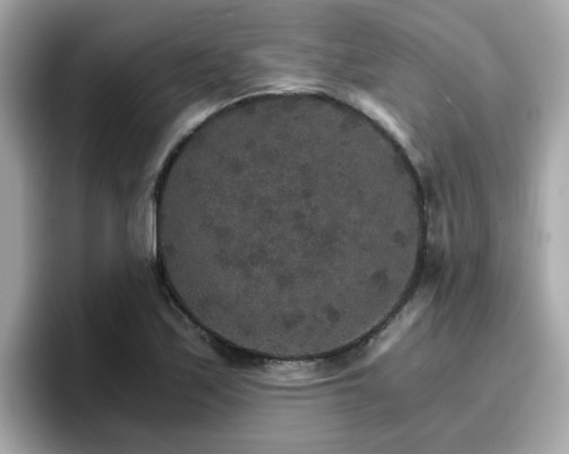 X0000096661171200802121124