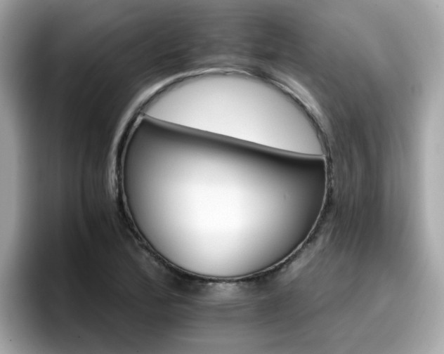 X0000096661172200802121124