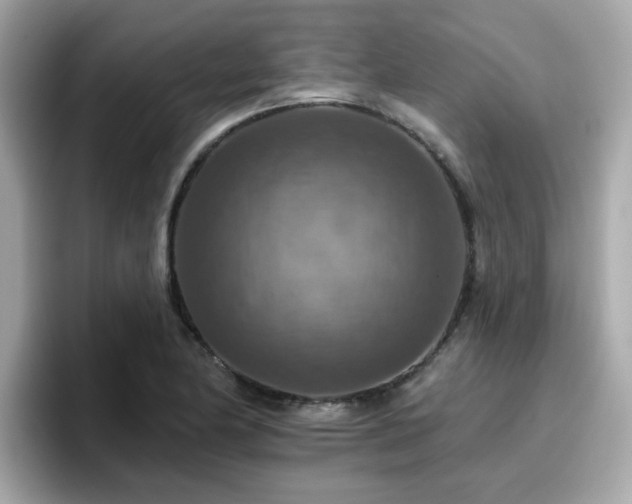 X0000096661174200802121124