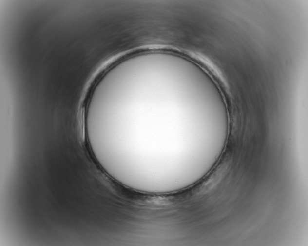 X0000096661175200802121124