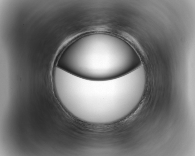 X0000096661176200802121124