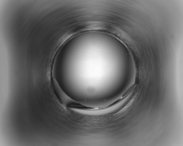 X0000096661177200802121124