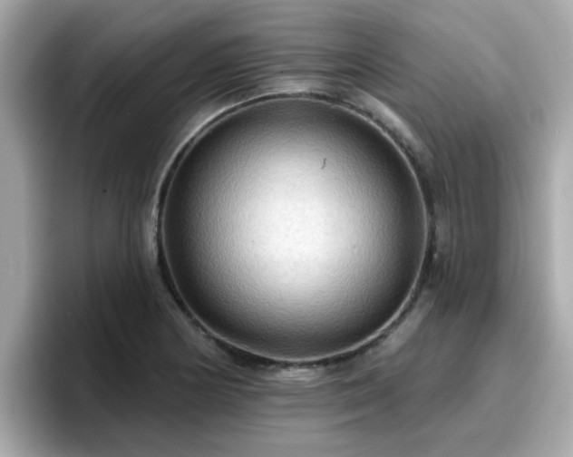 X0000096661178200802121124