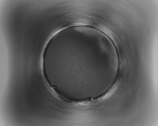 X0000096661179200802121124