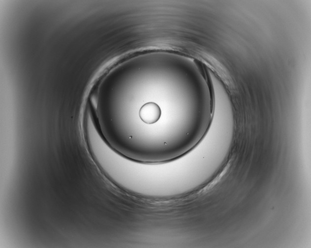 X0000096661180200802121124