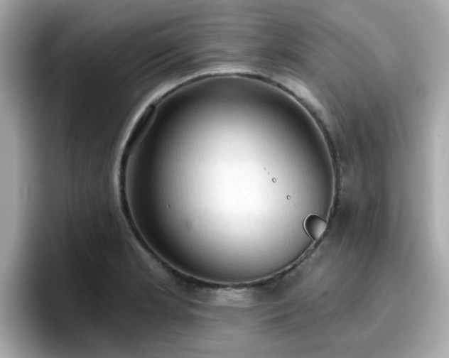 X0000096661181200802121124