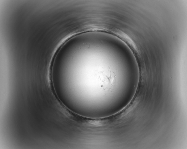 X0000096661182200802121124