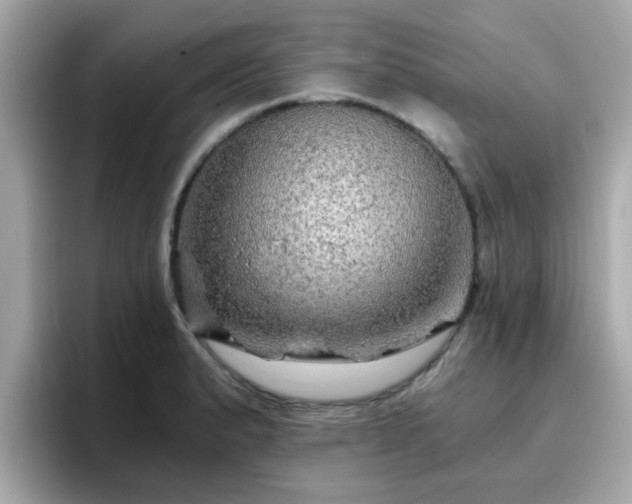 X0000096661183200802121124