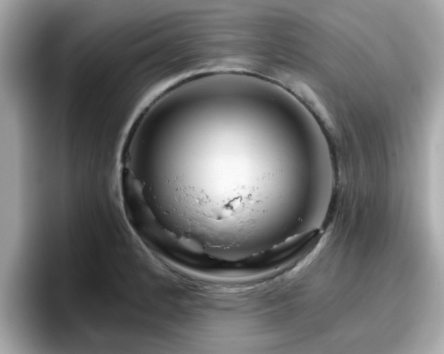 X0000096661184200802121124