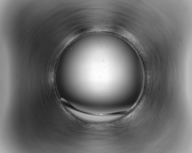 X0000096661185200802121124