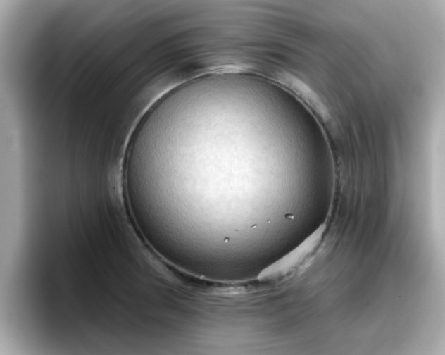 X0000096661186200802121124