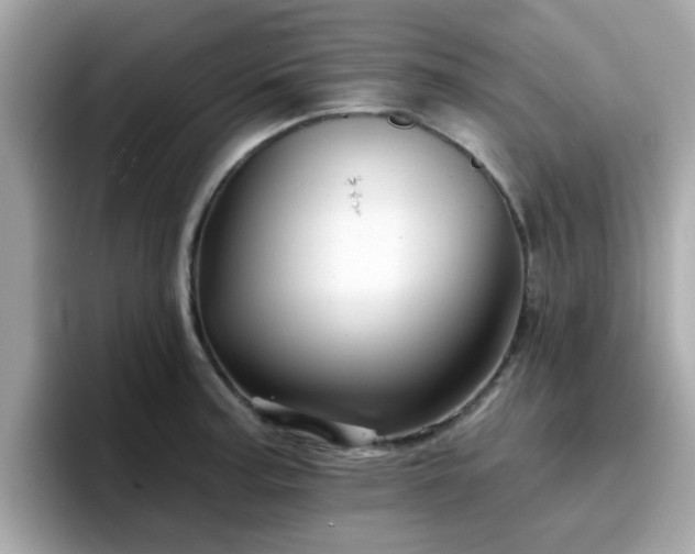 X0000096661187200802121124