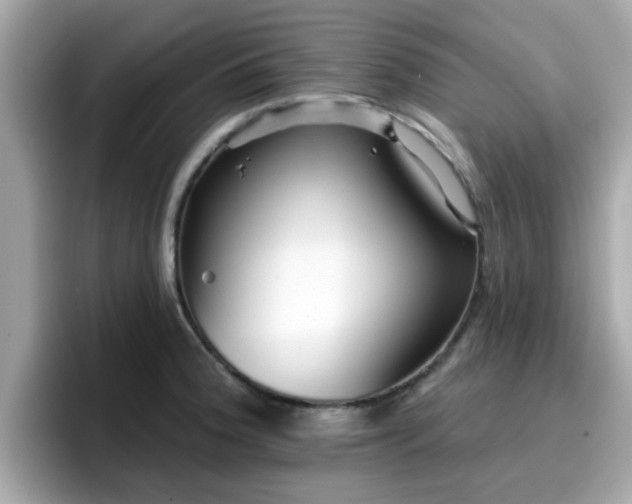 X0000096661188200802121124