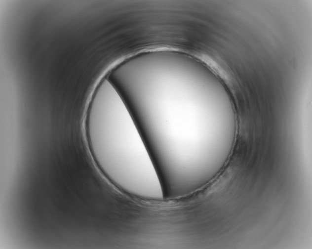 X0000096661189200802121124