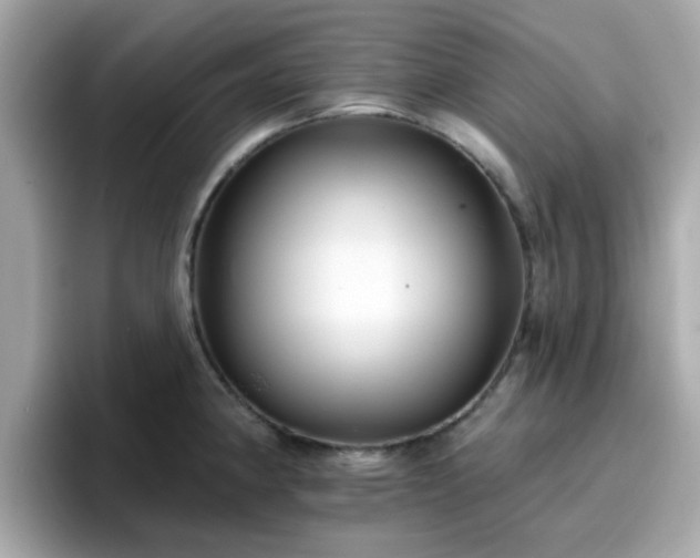 X0000096661190200802121124