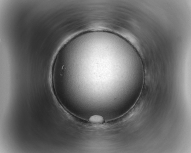 X0000096661191200802121124