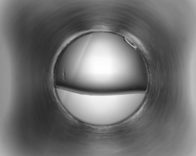 X0000096661192200802121124