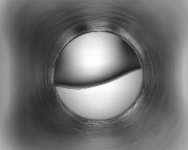 X0000096661193200802121124