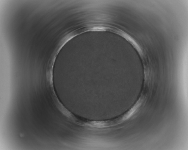 X0000096661194200802121124