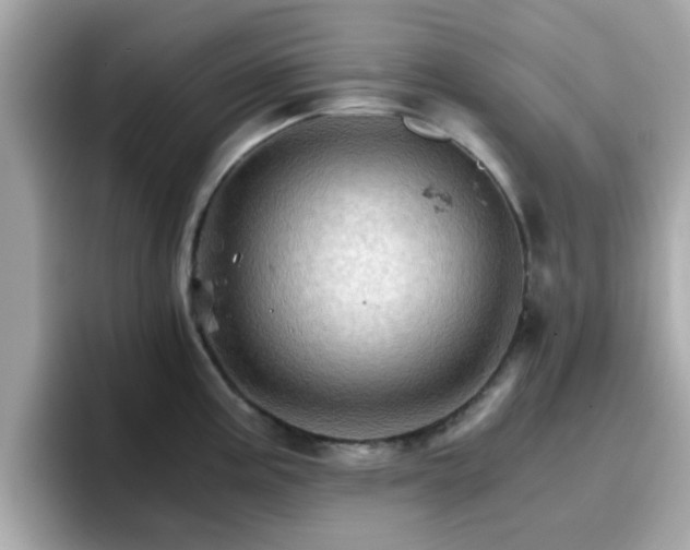 X0000096661195200802121124