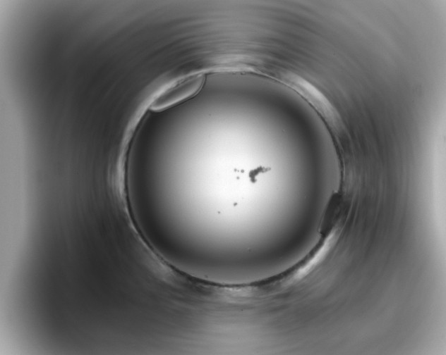 X0000096661196200802121124