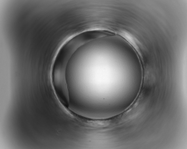 X0000096661197200802121124