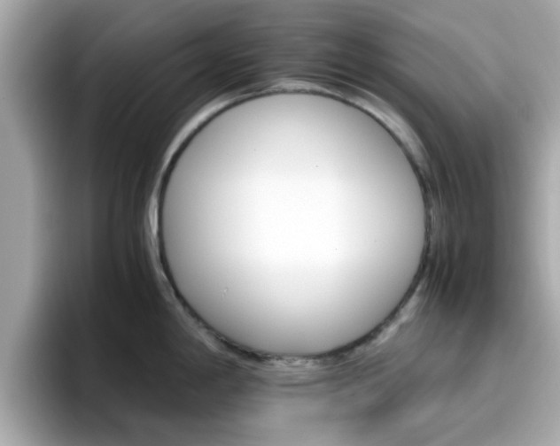 X0000096661198200802121124