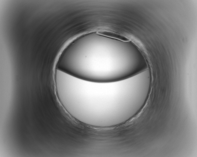 X0000096661200200802121124