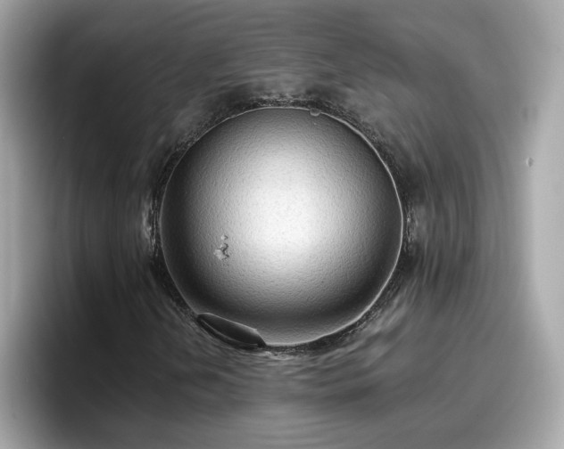 X0000096661202200802121123