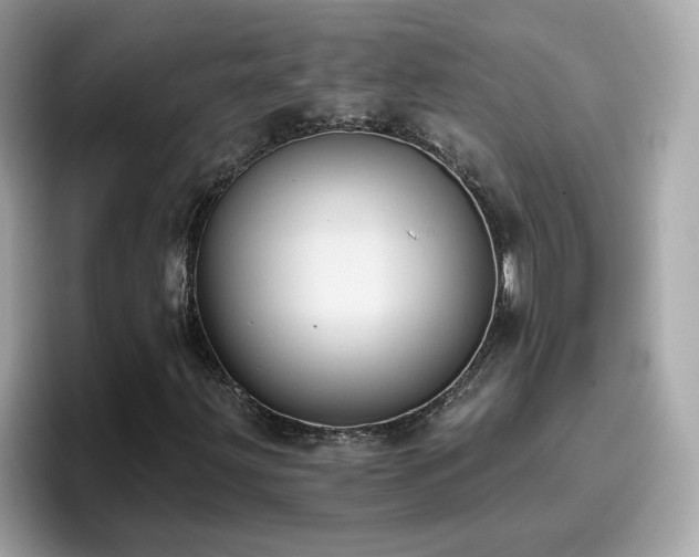 X0000096661203200802121123