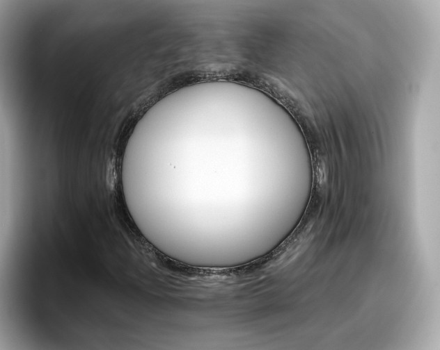 X0000096661204200802121123