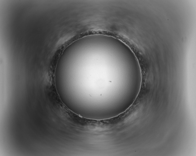 X0000096661207200802121123