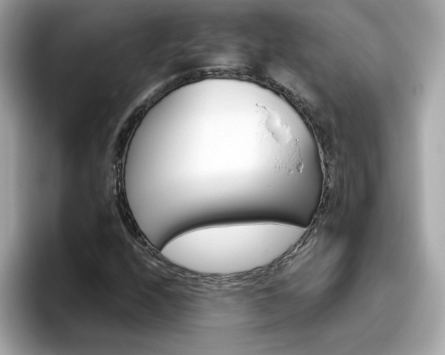 X0000096661208200802121123