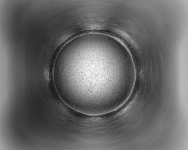 X0000096661209200802121123