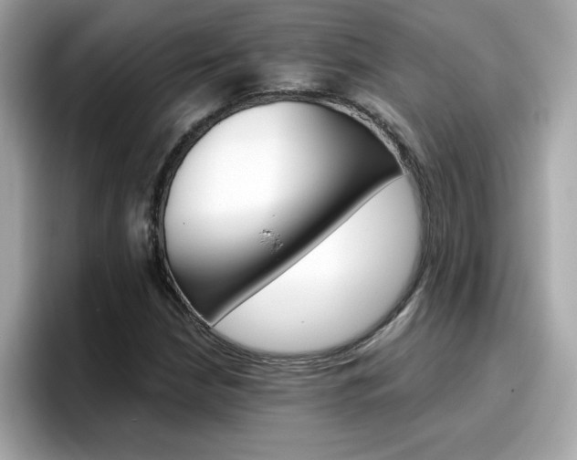 X0000096661210200802121124