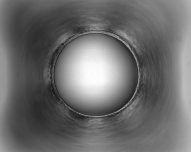 X0000096661211200802121124