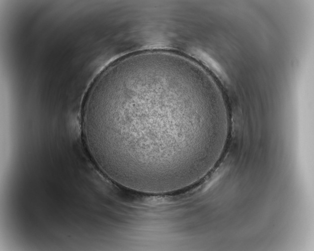 X0000096661212200802121124