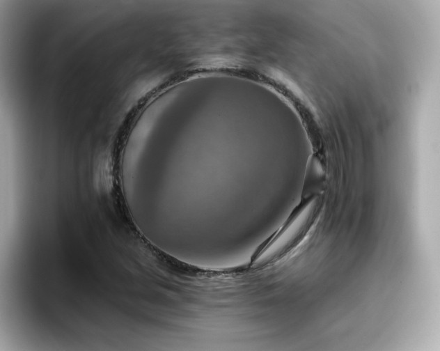 X0000096661213200802121124