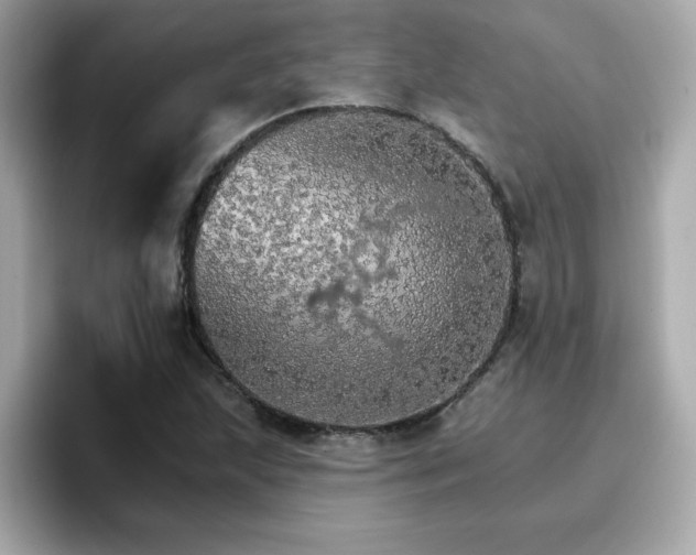 X0000096661215200802121124