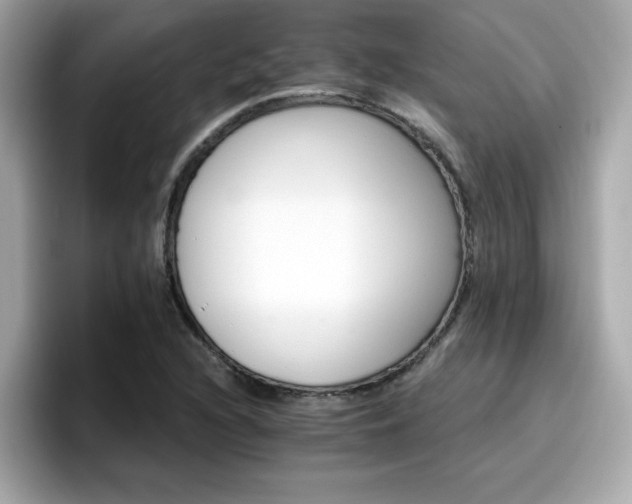 X0000096661216200802121124