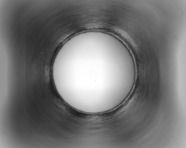 X0000096661217200802121124