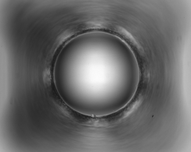 X0000096661218200802121124