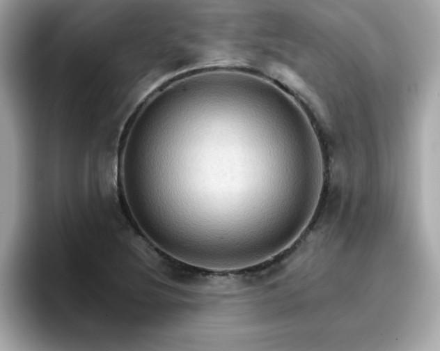 X0000096661220200802121124