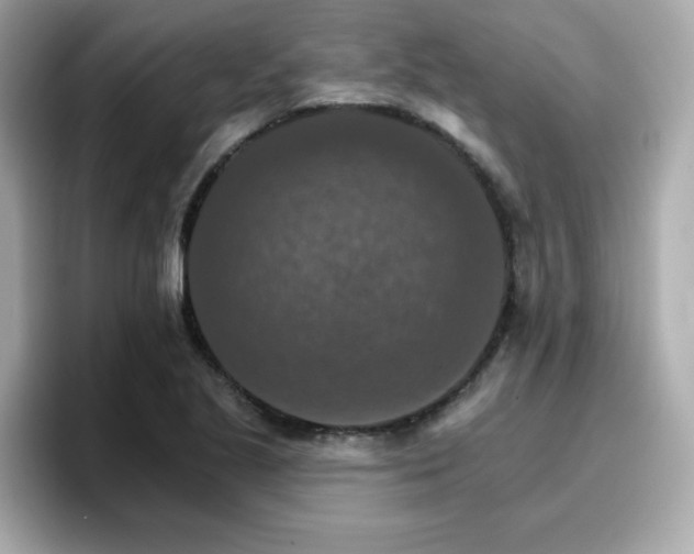 X0000096661221200802121124