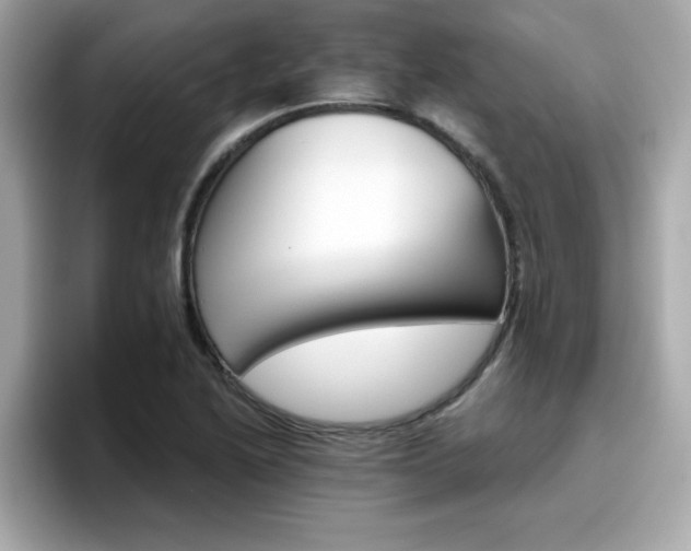 X0000096661222200802121124