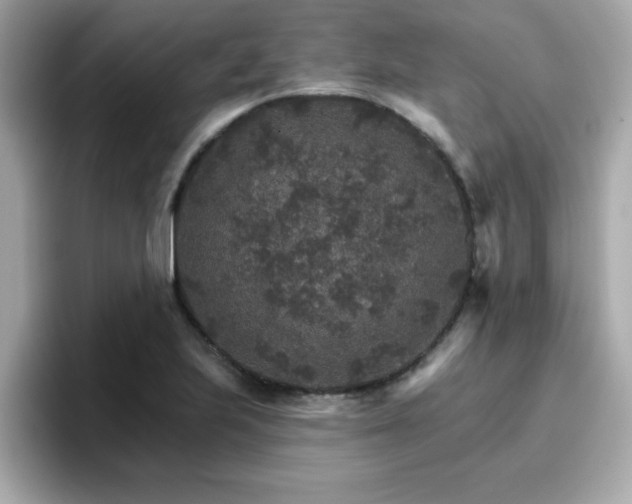 X0000096661223200802121124