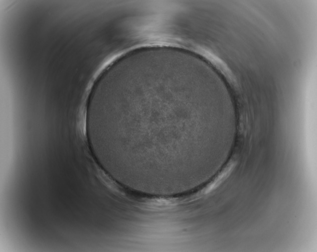 X0000096661224200802121124