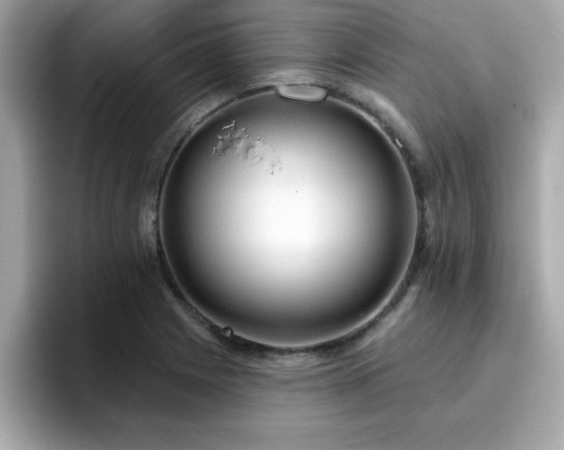 X0000096661225200802121124