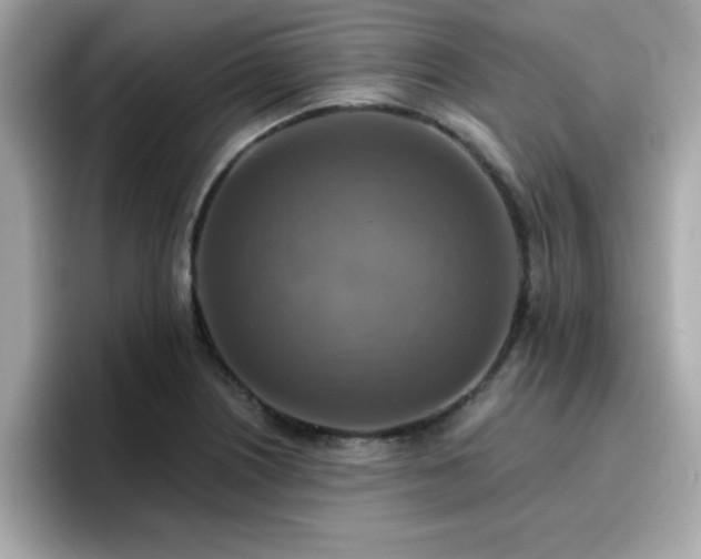 X0000096661226200802121124