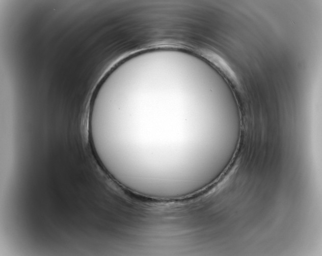 X0000096661228200802121124